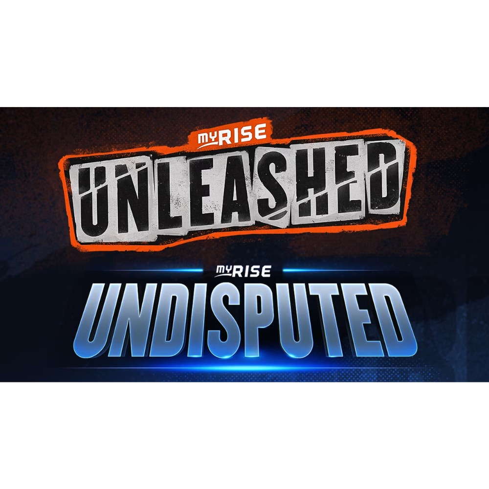 משחק WWE 2K24 לקונסולה Sony Playstation 4 - יבואן רשמי